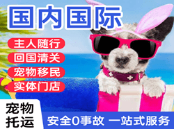 营口兰旗航空货运国际宠物托运 【国